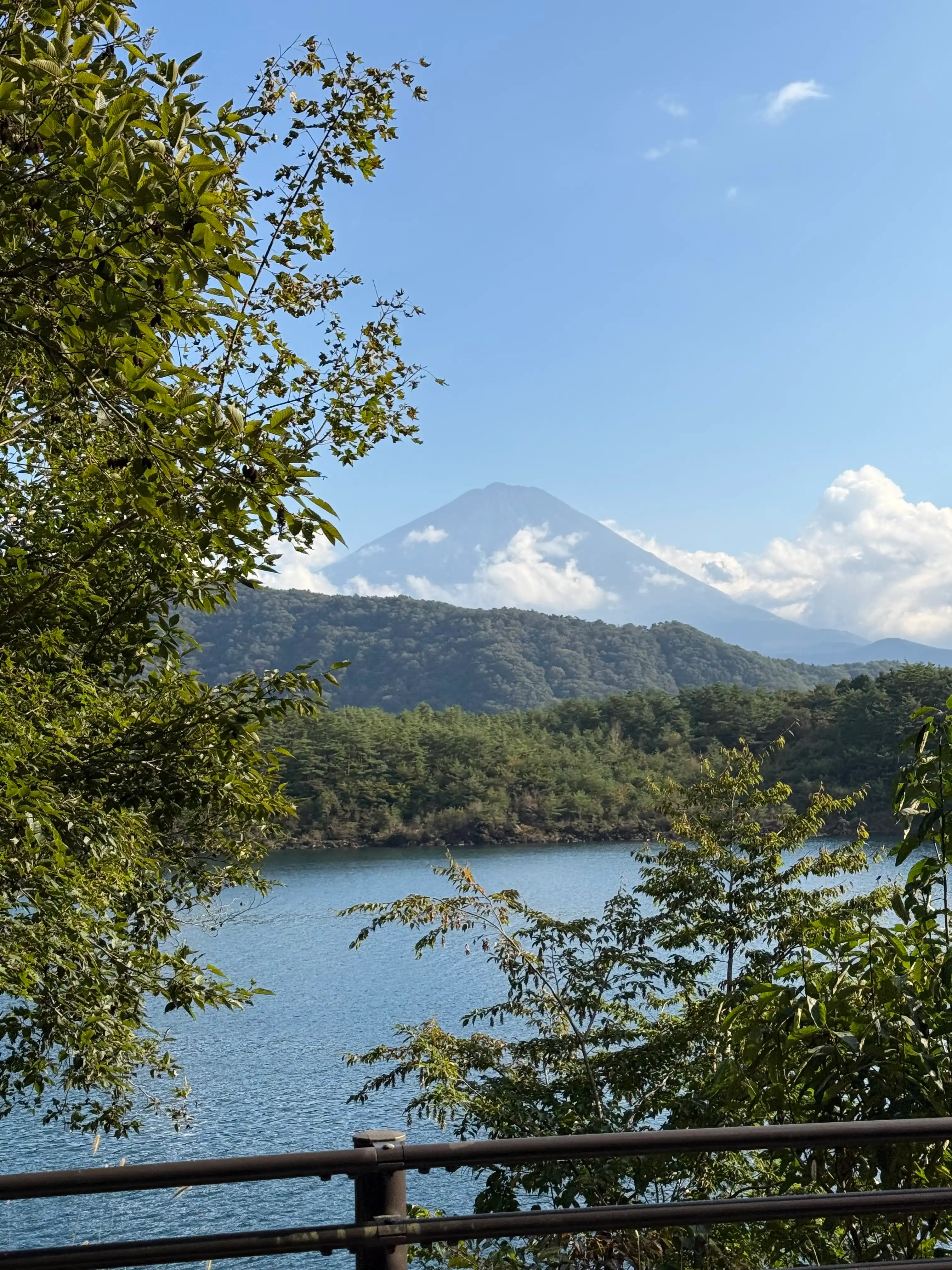 Water and forest landscape in front of a mountain.