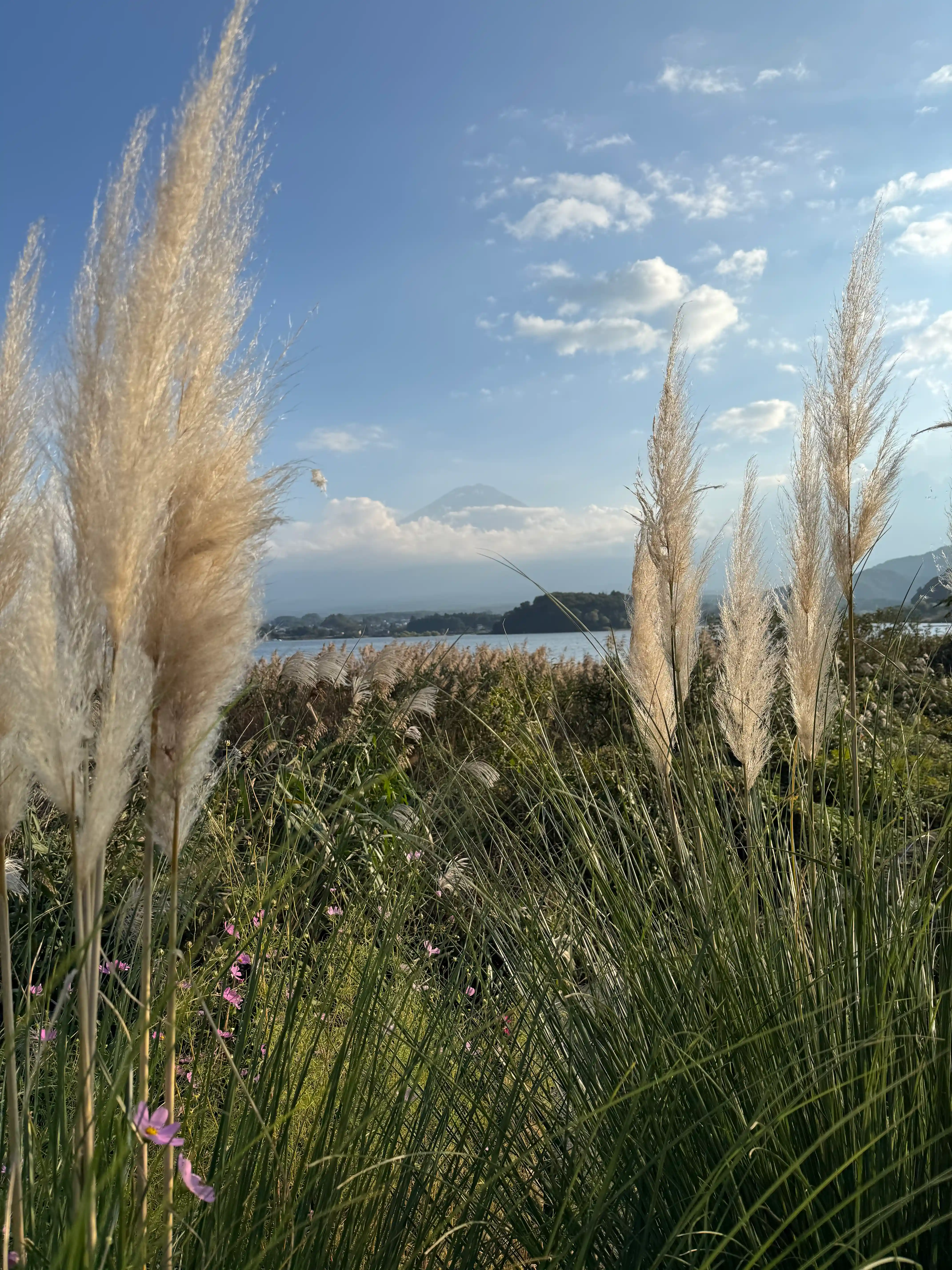 Reed bushes and flowers in front of a lake and mountain landscape.